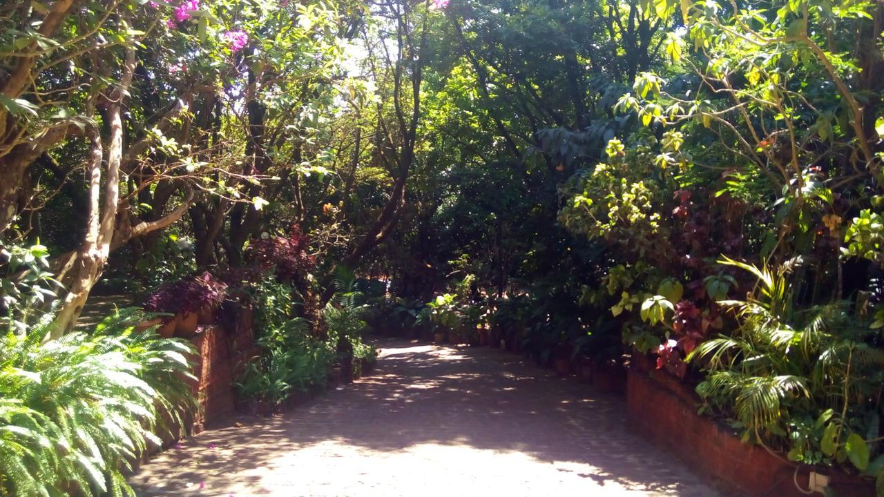 Hotel Tree Top Mahābaleshwar Exterior foto